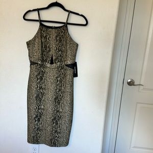 Bebe snake print dress